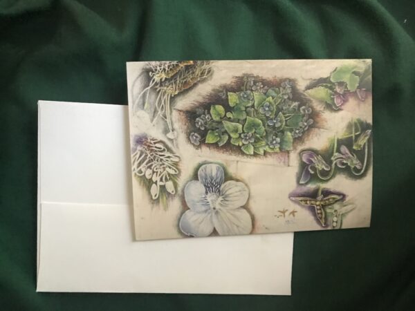 Botanical Art Card - Viola sororia - Image 3