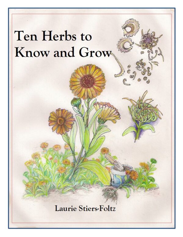 Ten Herbs to Know and Grow.